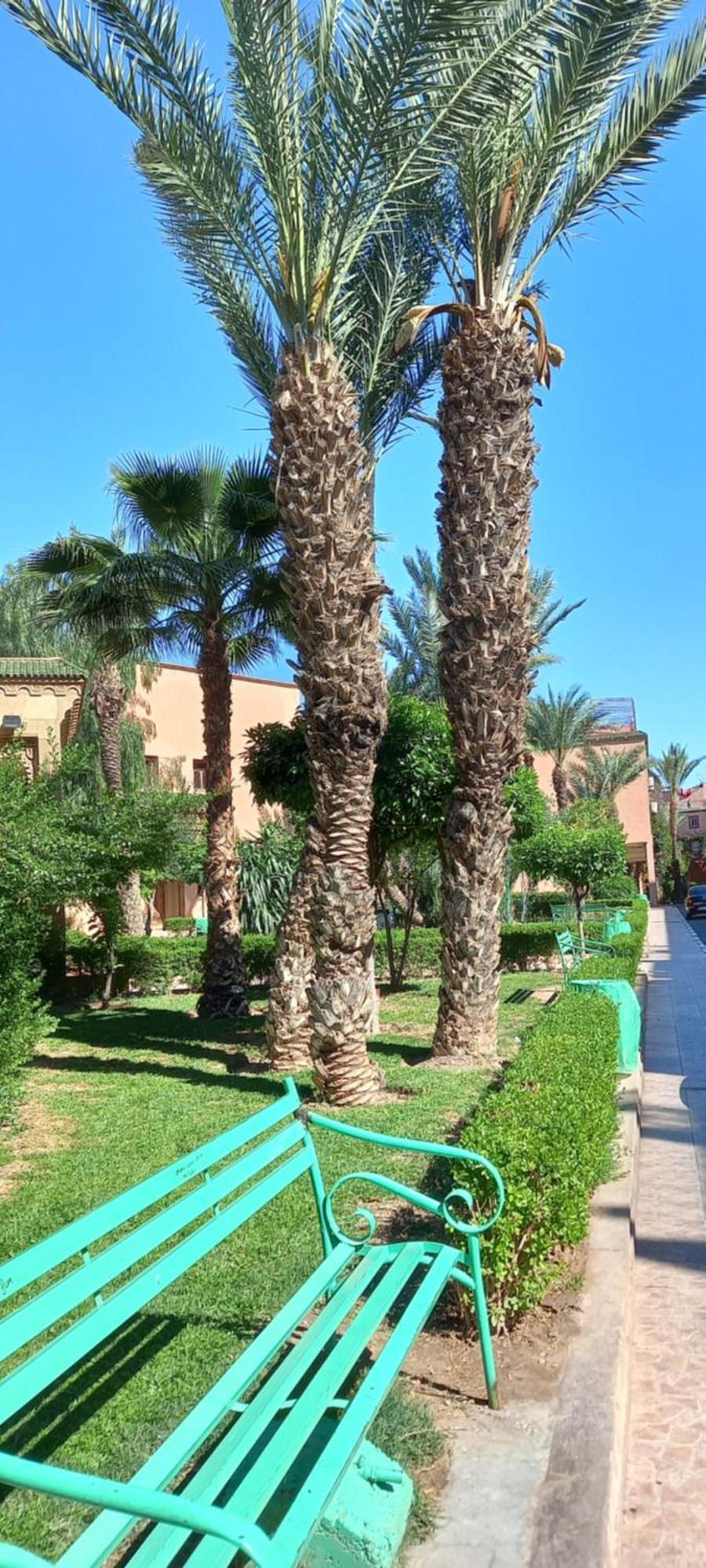 Riad Al-Bushra 马拉喀什 外观 照片