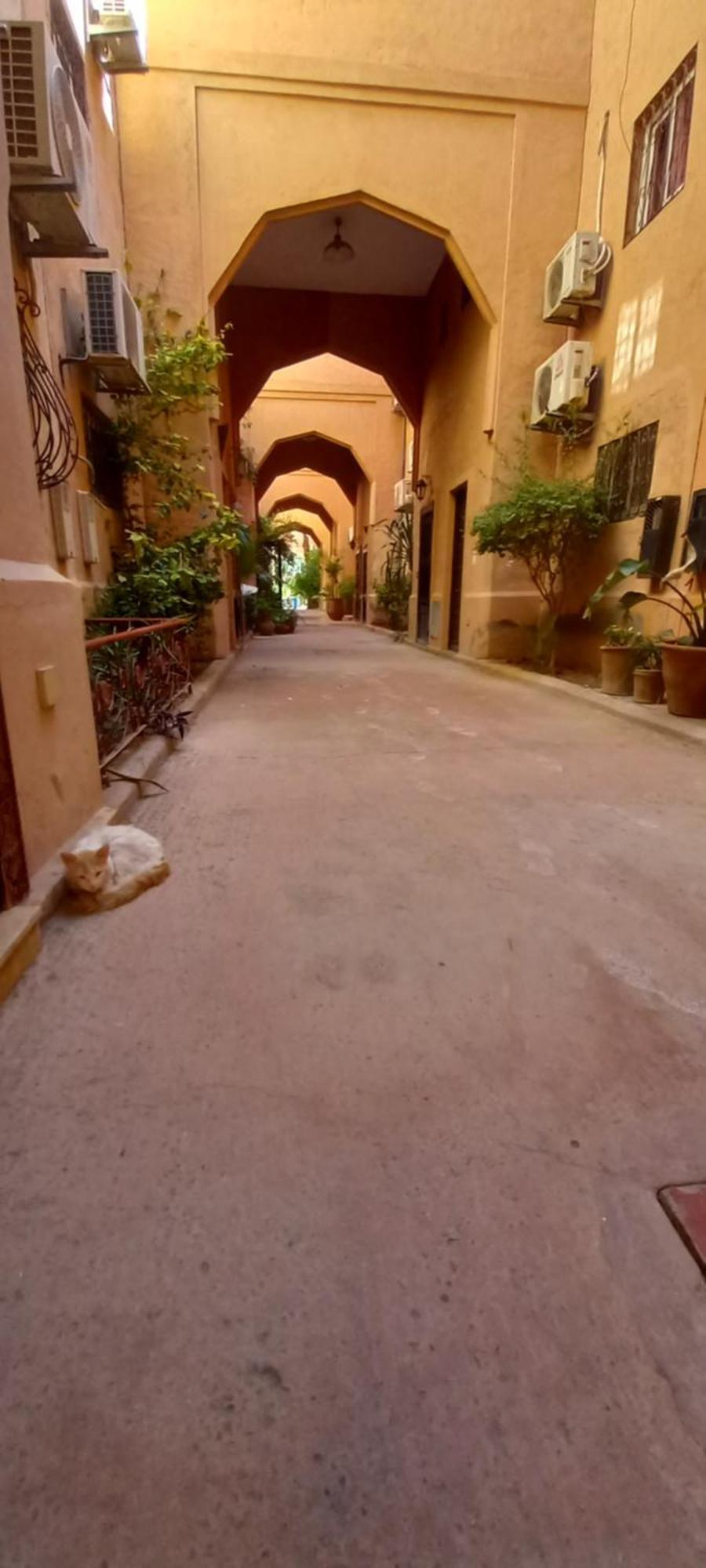 Riad Al-Bushra 马拉喀什 外观 照片